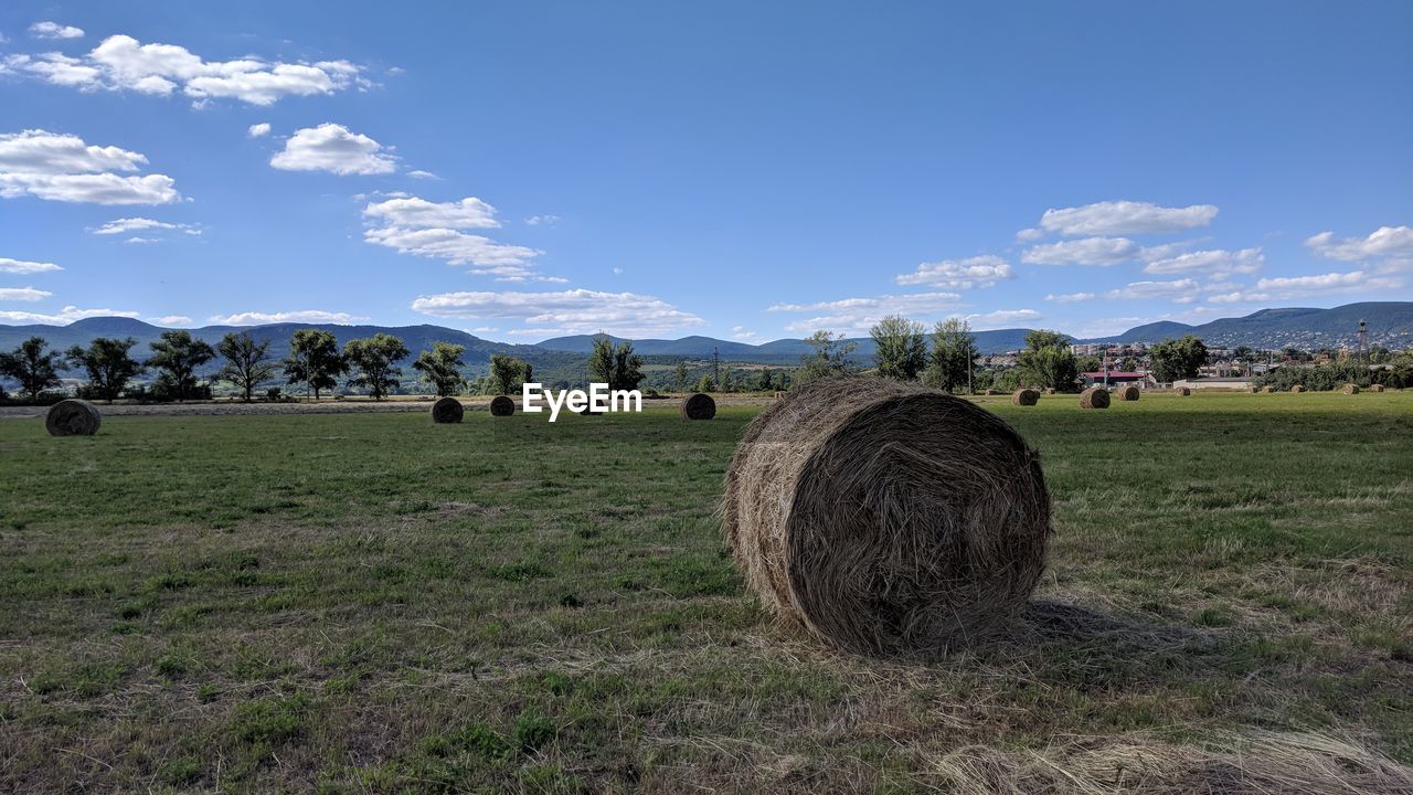 VIEW OF HAY BALES ON FIELD AGAINST SKY