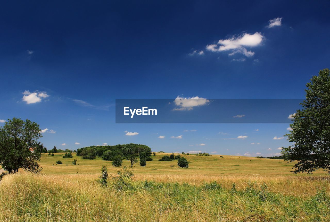 Scenic view of agricultural field against sky