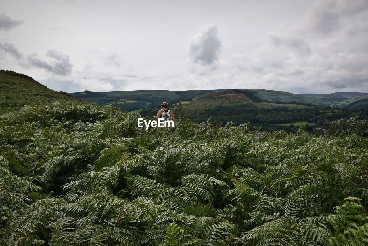 SCENIC VIEW OF MOUNTAIN AGAINST SKY