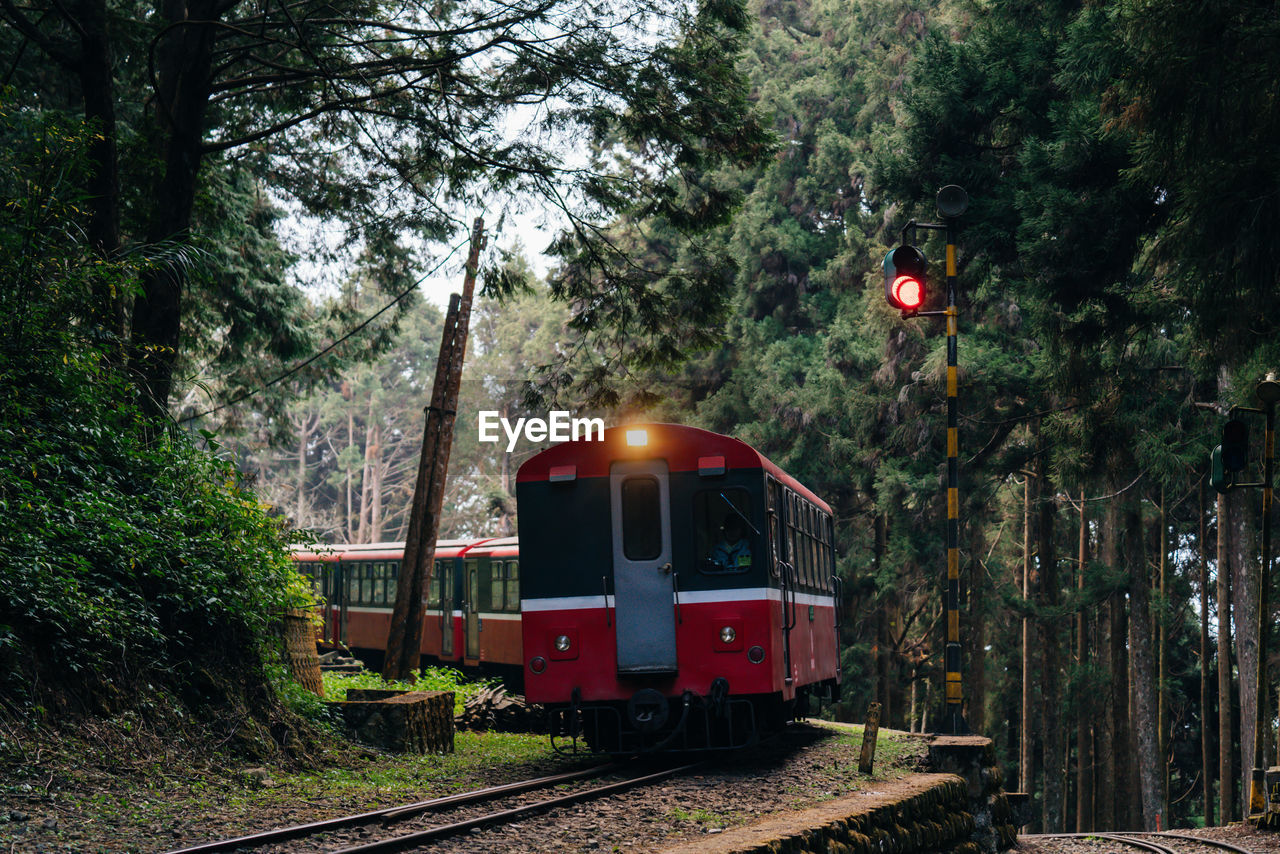 Train on railroad track in forest