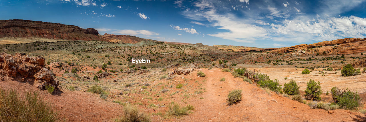 landscape, environment, scenics - nature, sky, land, nature, beauty in nature, travel, travel destinations, desert, cloud, rock, wilderness, valley, mountain, semi-arid, plant, panoramic, canyon, non-urban scene, no people, natural environment, rock formation, blue, tourism, wadi, tree, outdoors, plateau, climate, tranquility, dry, arid climate, sunlight, geology, animal wildlife, multi colored, red, horizon, extreme terrain, day, sunny, national park, tranquil scene