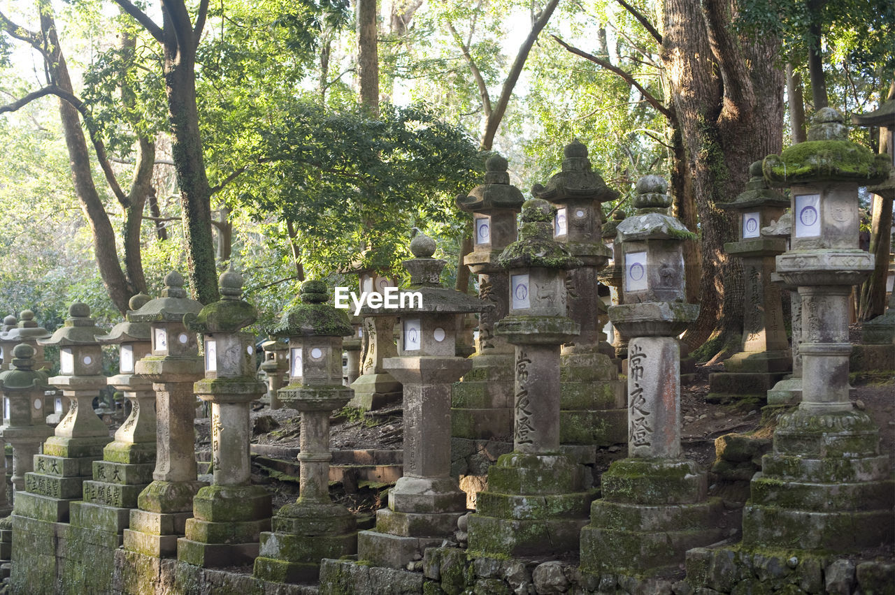 Multiple rows of kasuga taisha stone lantern monuments near ancient japanese shrine in forest