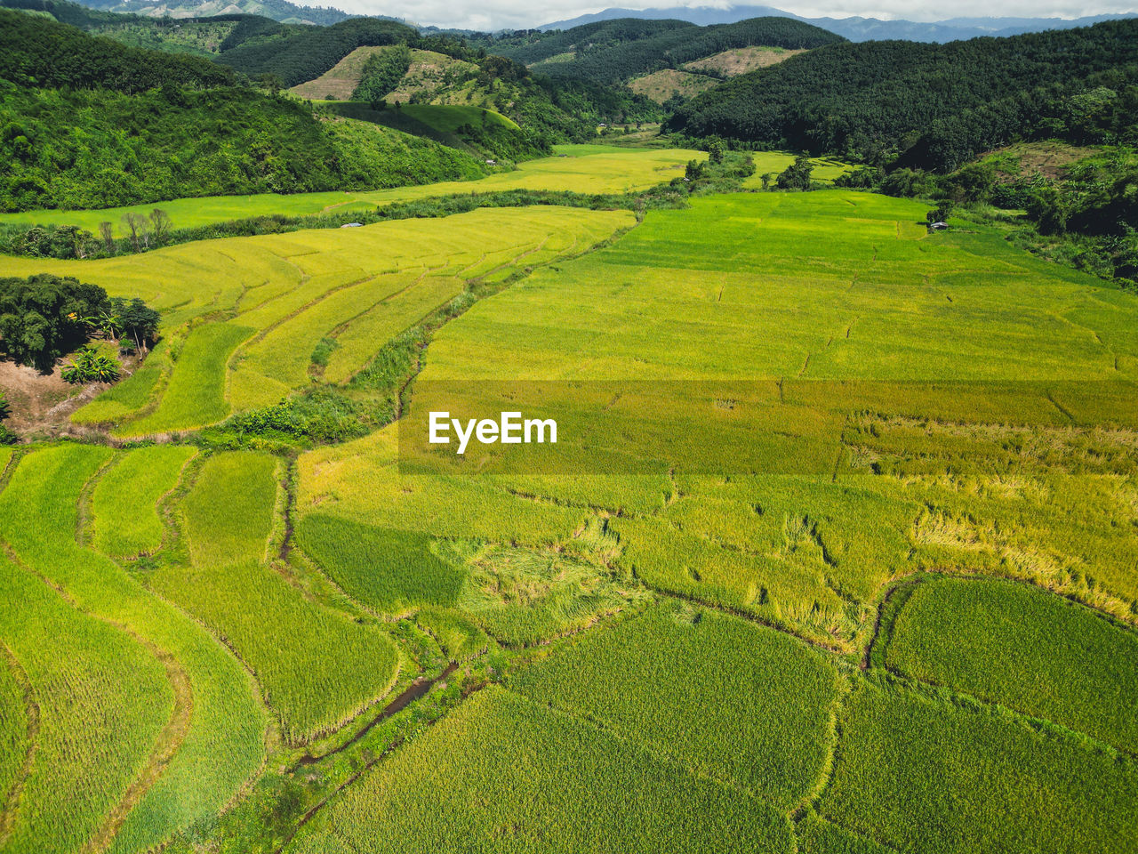 high angle view of agricultural field