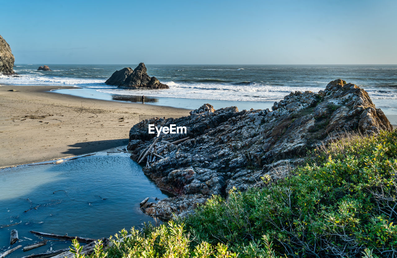 A scenic view of harris state park in brookings, oregon.