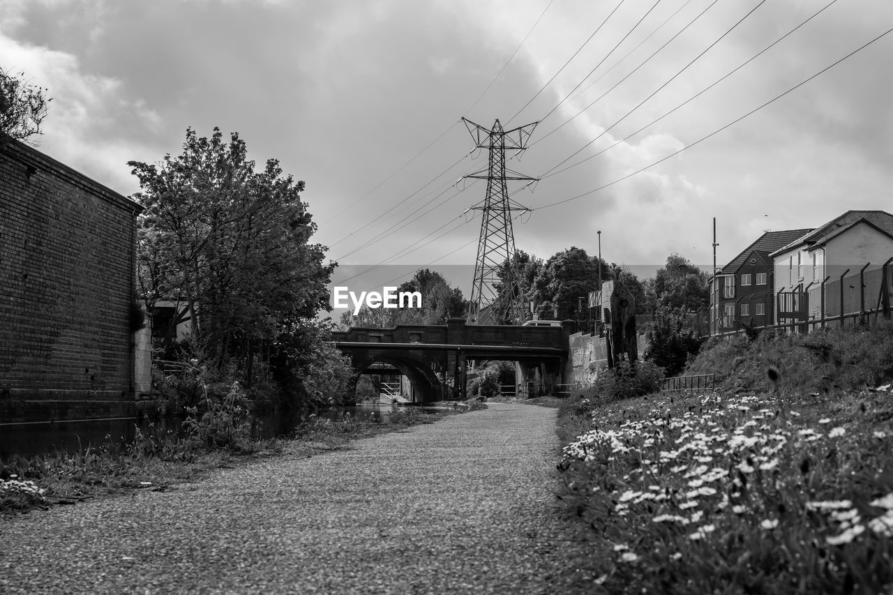 BRIDGE AMIDST TREES AND PLANTS AGAINST SKY