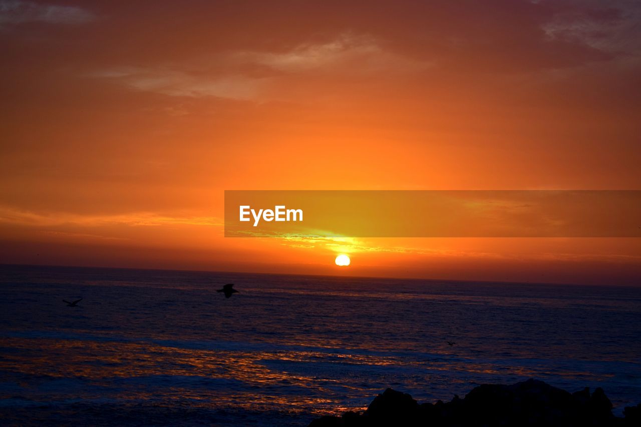 SCENIC VIEW OF SEA DURING SUNSET