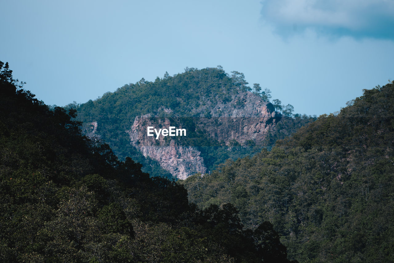 Low angle view of trees on mountain against sky