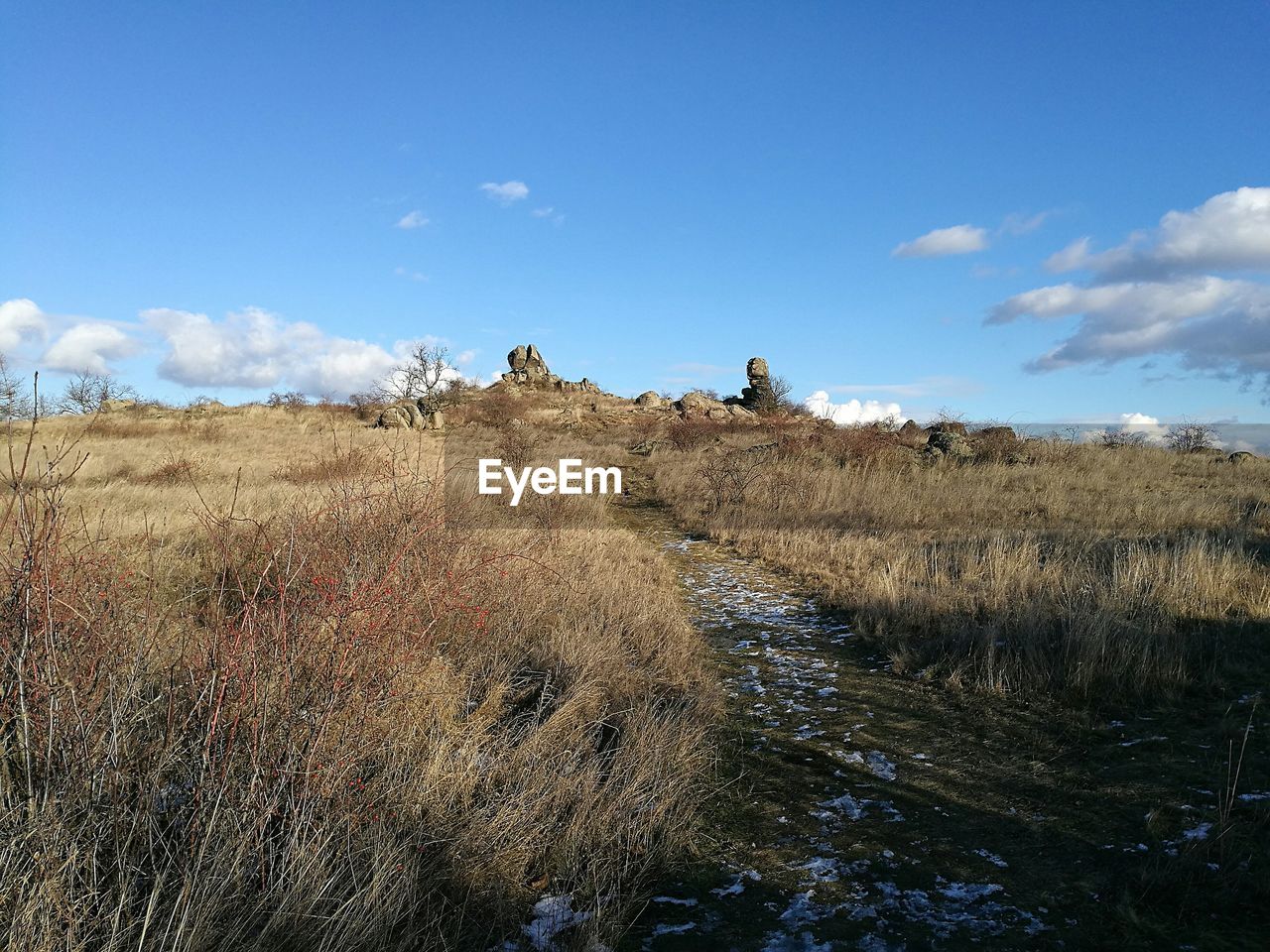 VIEW OF LANDSCAPE AGAINST SKY