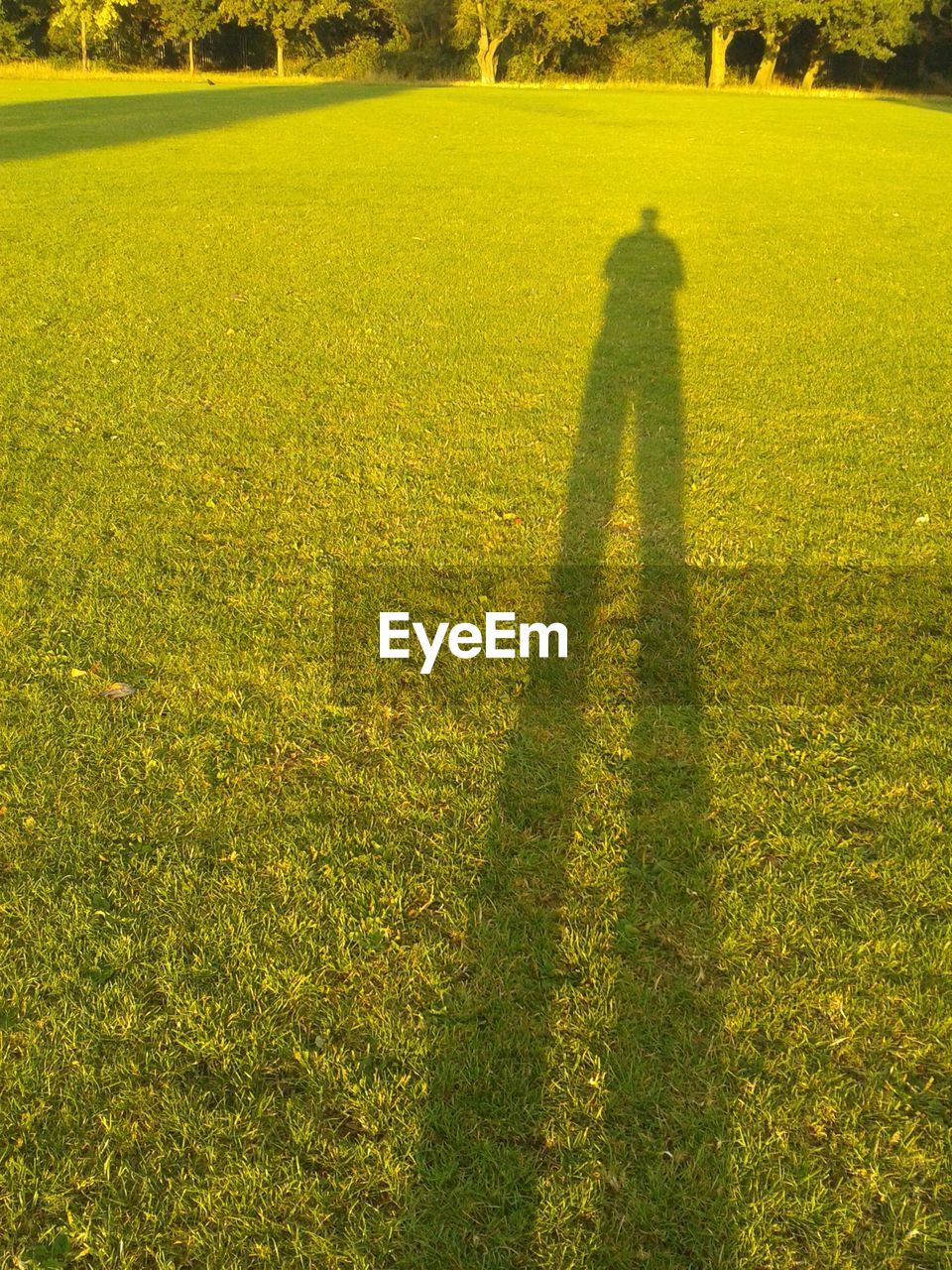 Shadow of man on grassy field