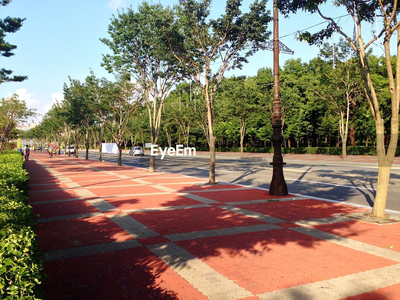Paving stone sidewalk amidst trees and plants by street against sky