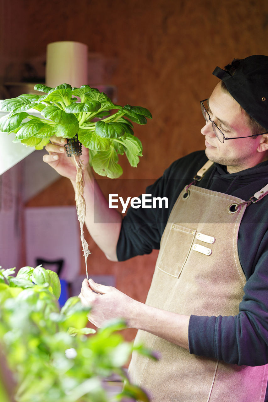 Chef checking vegetable plant roots in restaurant herb garden