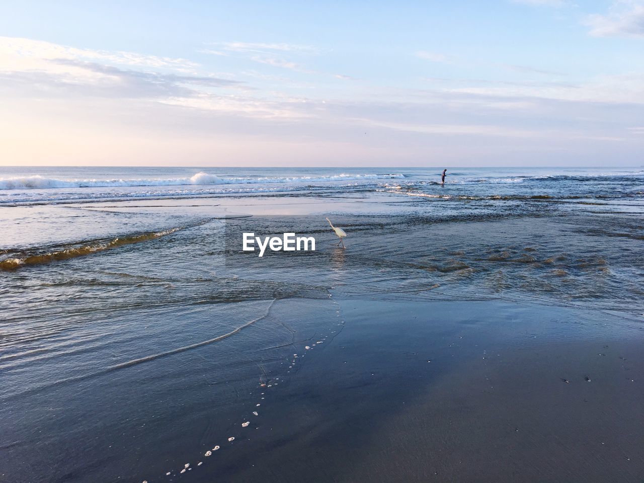 VIEW OF SWAN ON BEACH AGAINST SKY