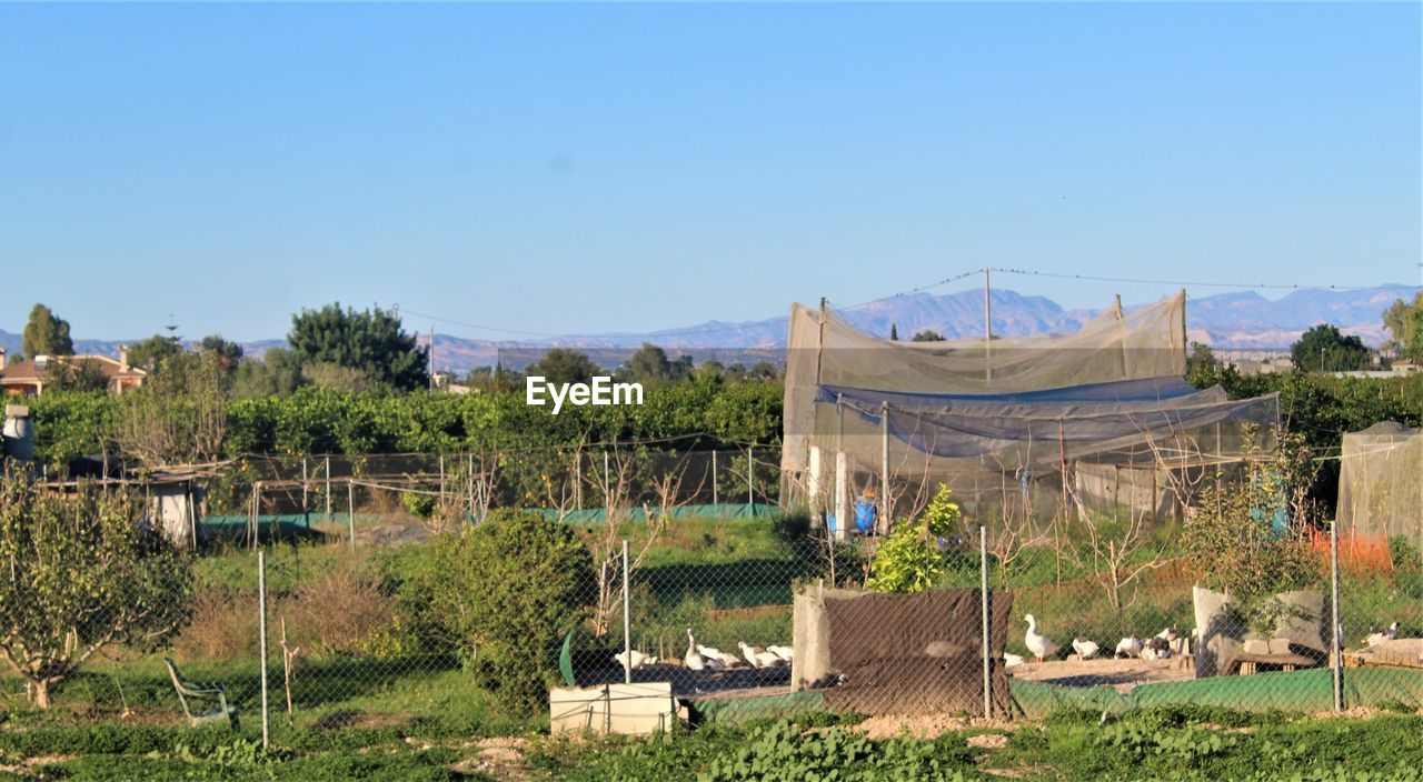 plant, sky, nature, architecture, no people, tree, landscape, built structure, clear sky, day, blue, village, building, building exterior, outdoors, sunny, land, environment, grass, field, sunlight, mountain, travel destinations, rural scene, house, rural area