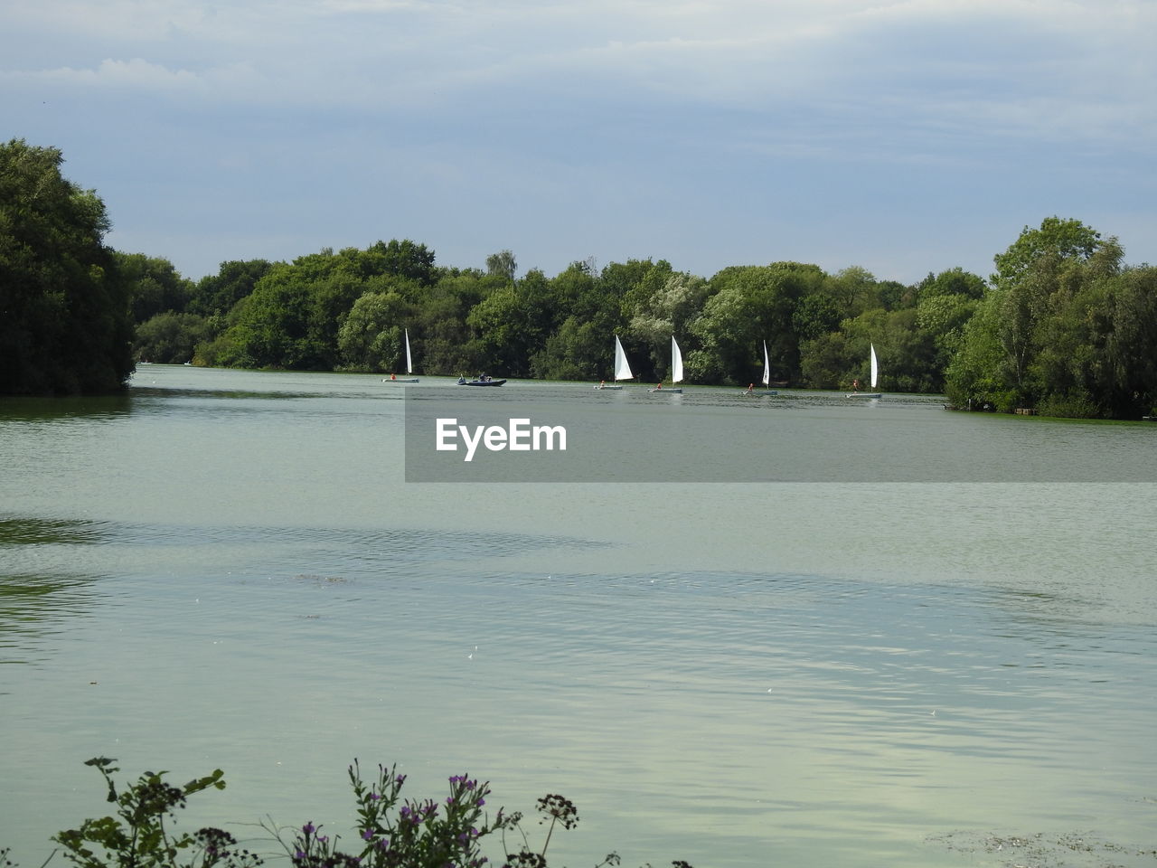 SCENIC VIEW OF LAKE AGAINST TREES