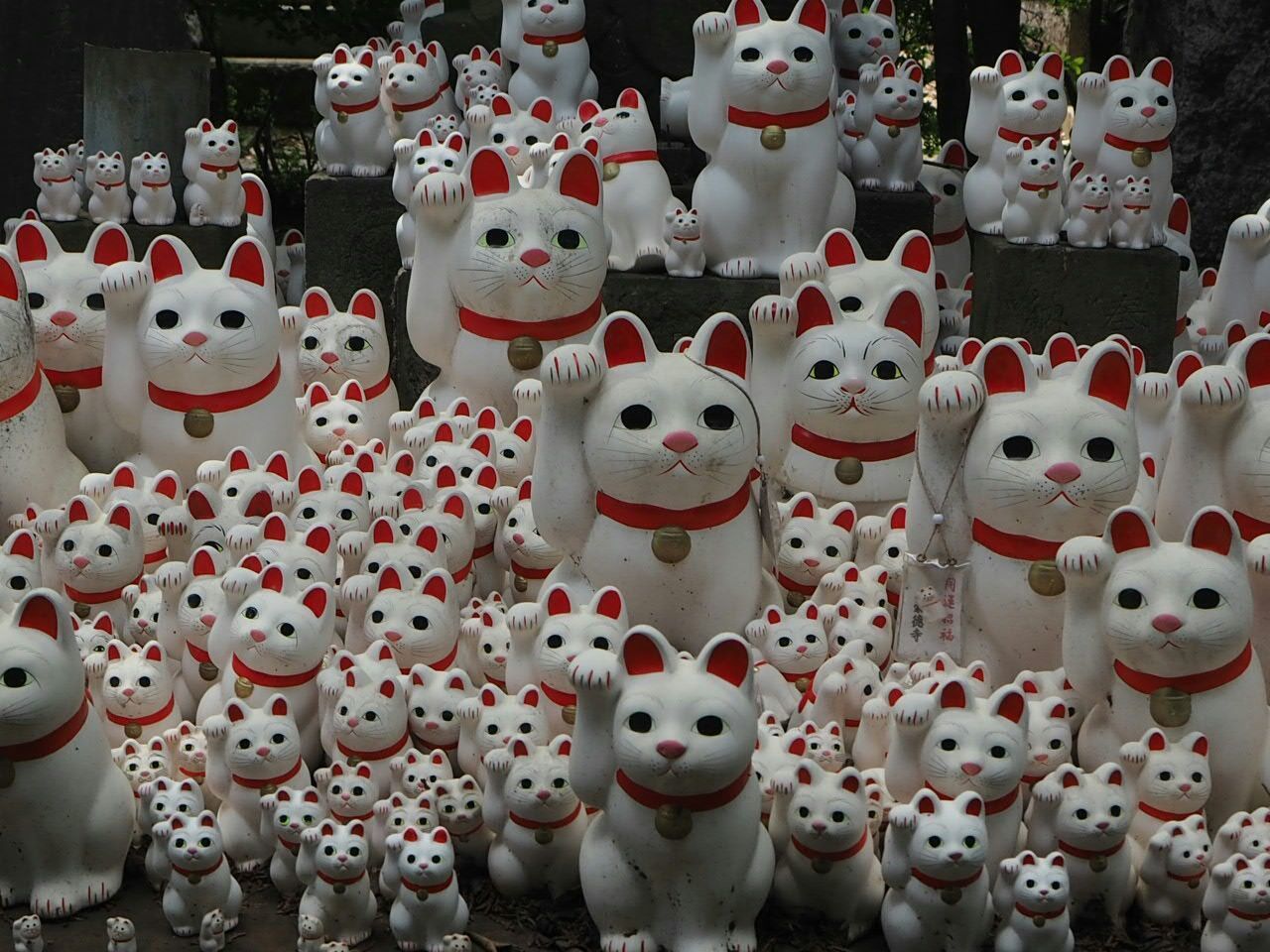 Maneki nekos on shelves outside temple