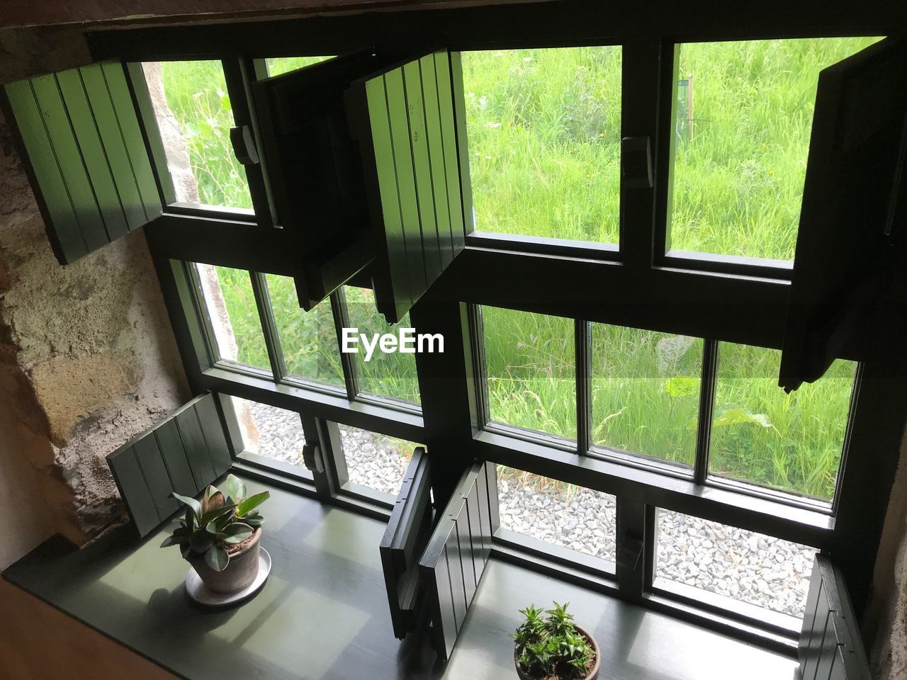 Plants seen through glass window of house