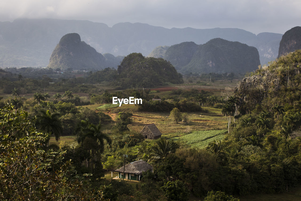 Scenic view of landscape