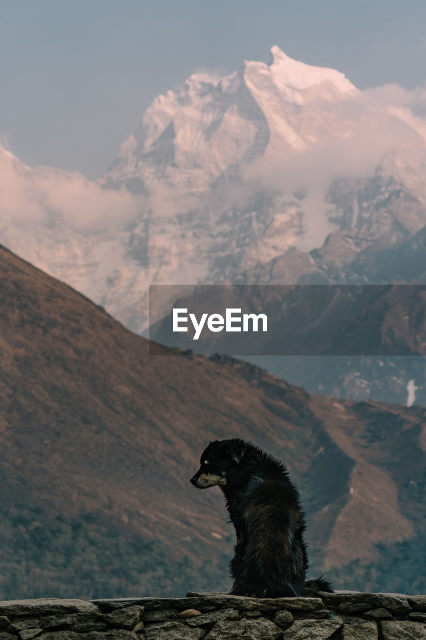 scenic view of mountains