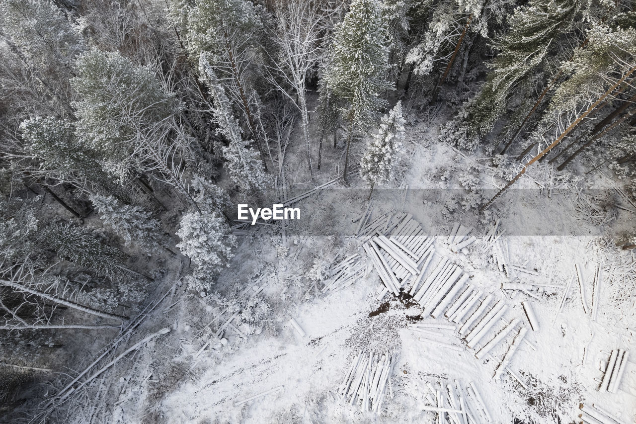 plant, tree, land, winter, nature, no people, cold temperature, day, snow, frost, high angle view, full frame, tranquility, beauty in nature, outdoors, frozen, backgrounds, forest, growth, scenics - nature, field, non-urban scene, environment, landscape, tranquil scene, pattern, covering