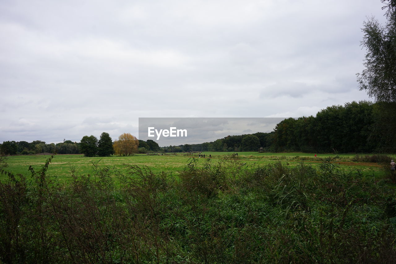 SCENIC VIEW OF LAND AGAINST SKY