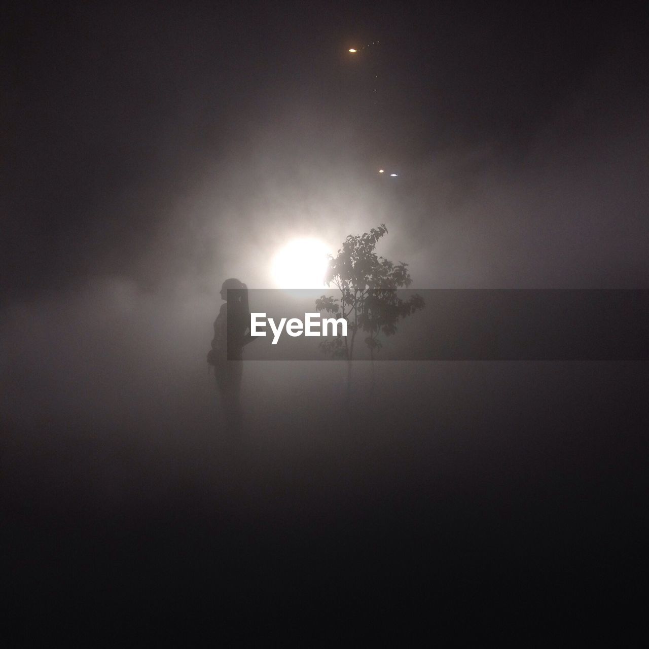 Woman and tree in sunlit fog