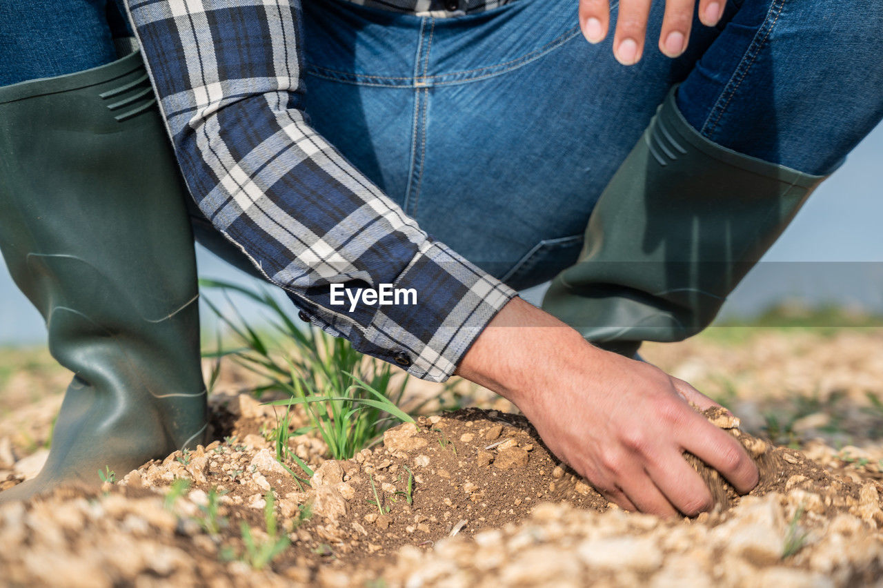 low section of woman holding plant