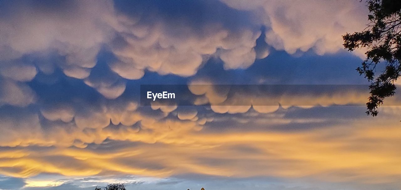 LOW ANGLE VIEW OF SKY DURING SUNSET