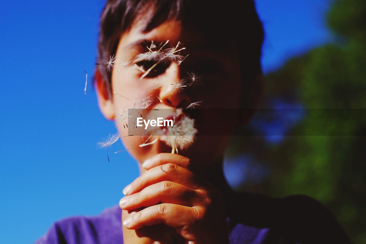 Close-up of boy blowing dandelion seeds