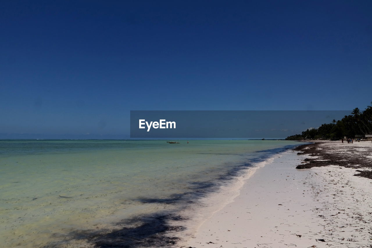 Scenic view of beach against clear blue sky