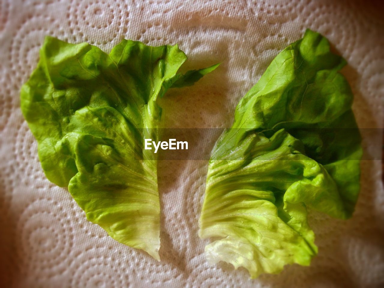 Close-up of lettuce leaves on tablecloth