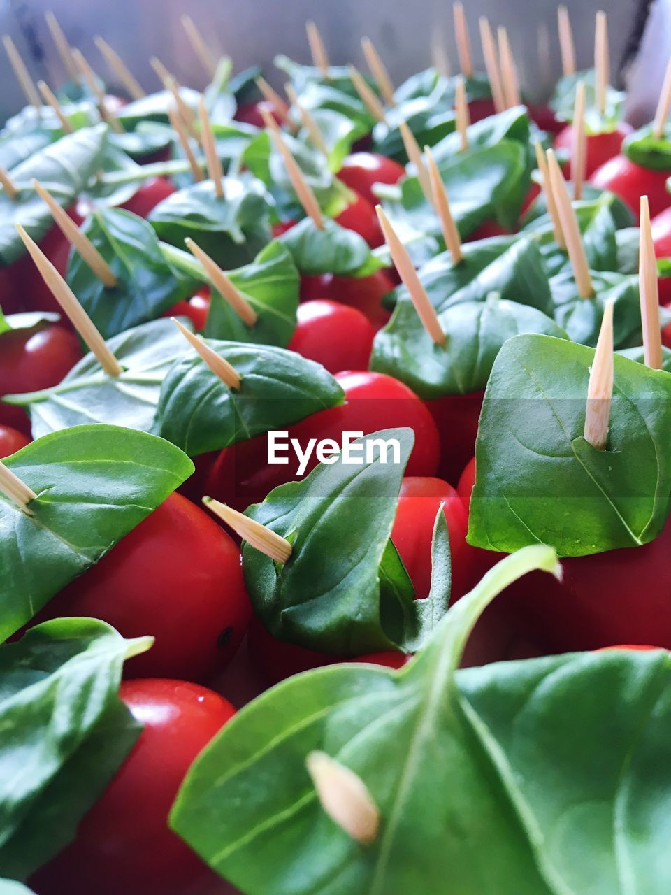 Close-up of tomatoes with basil leaves