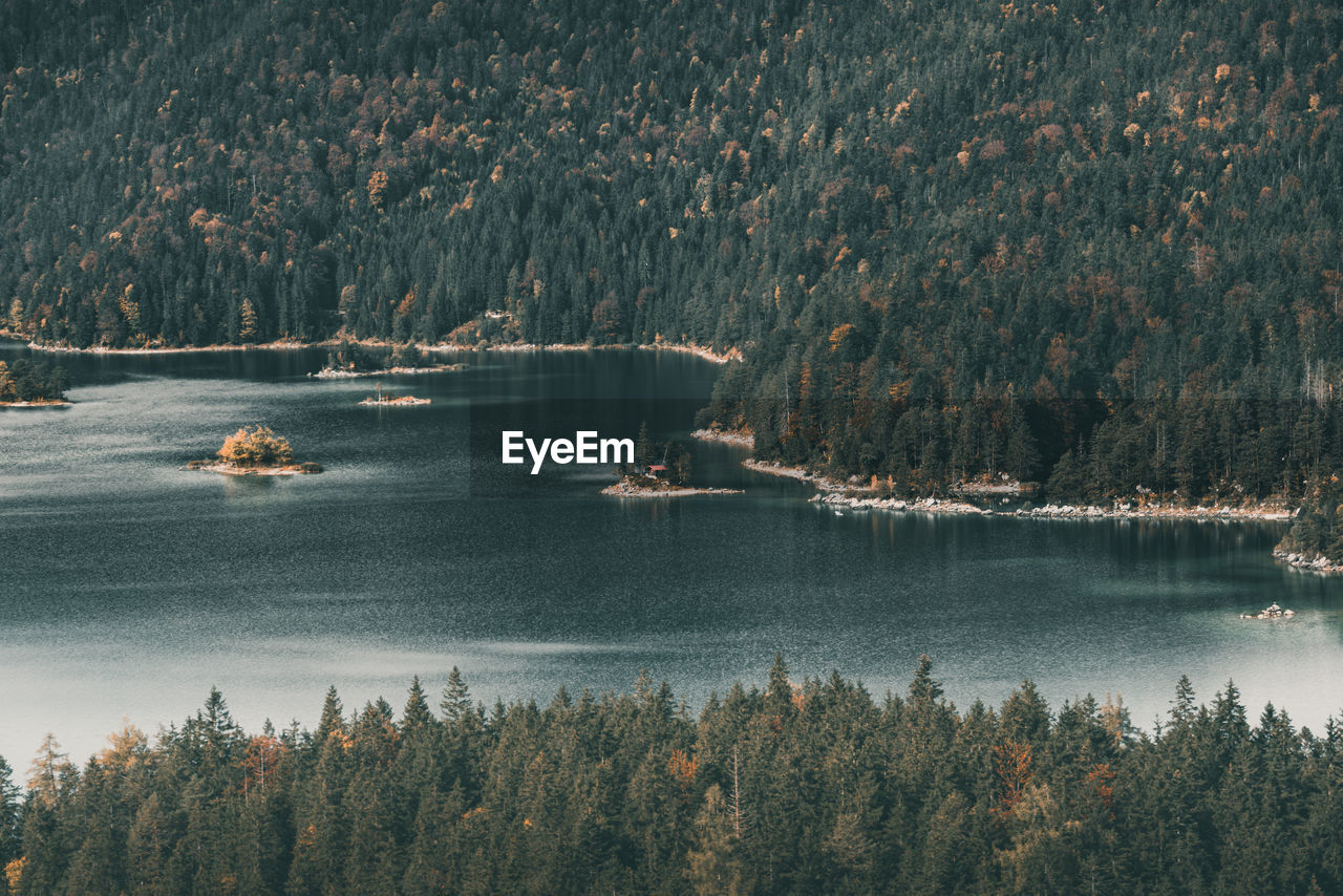 Scenic view of lake in forest during autumn