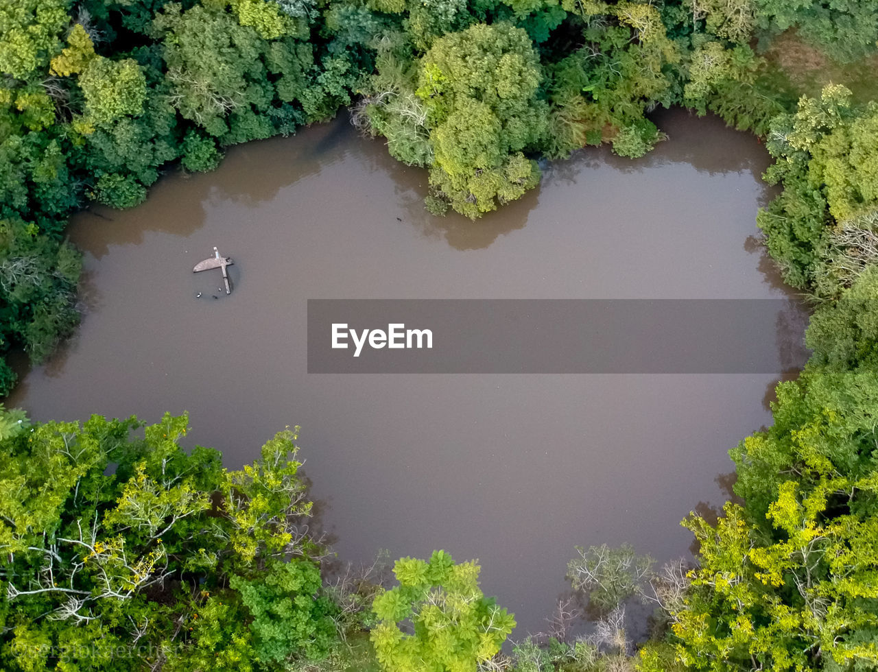 HIGH ANGLE VIEW OF TREES AND PLANTS IN LAKE