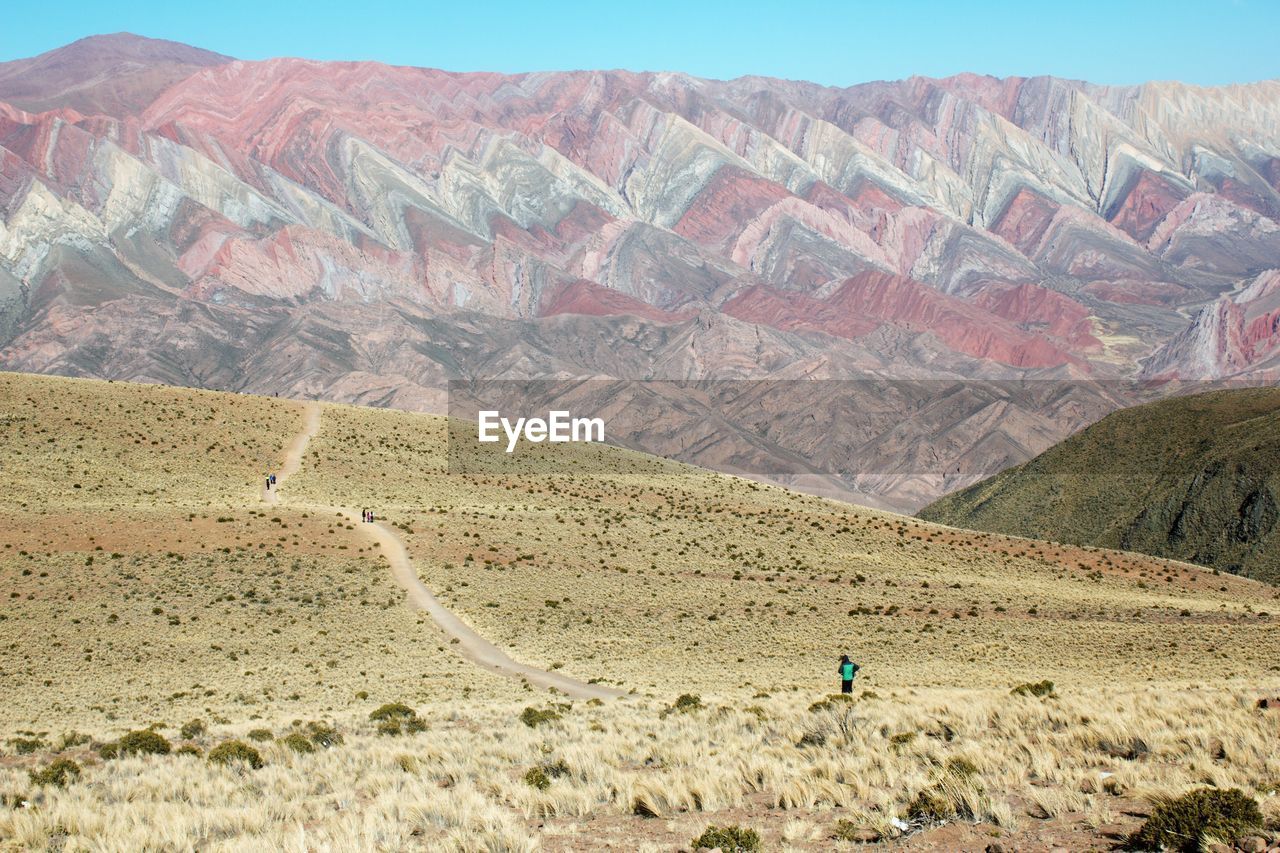 SCENIC VIEW OF LANDSCAPE