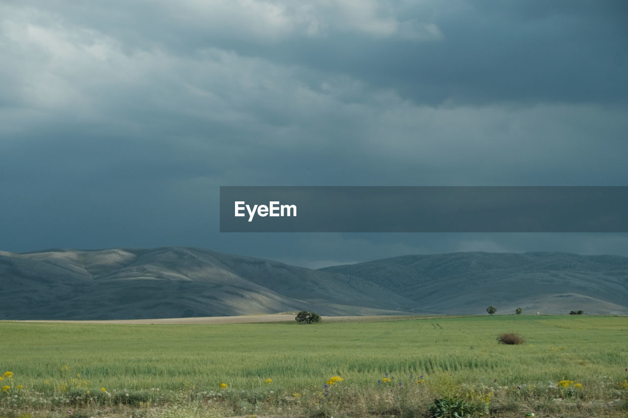 Scenic view of field against sky