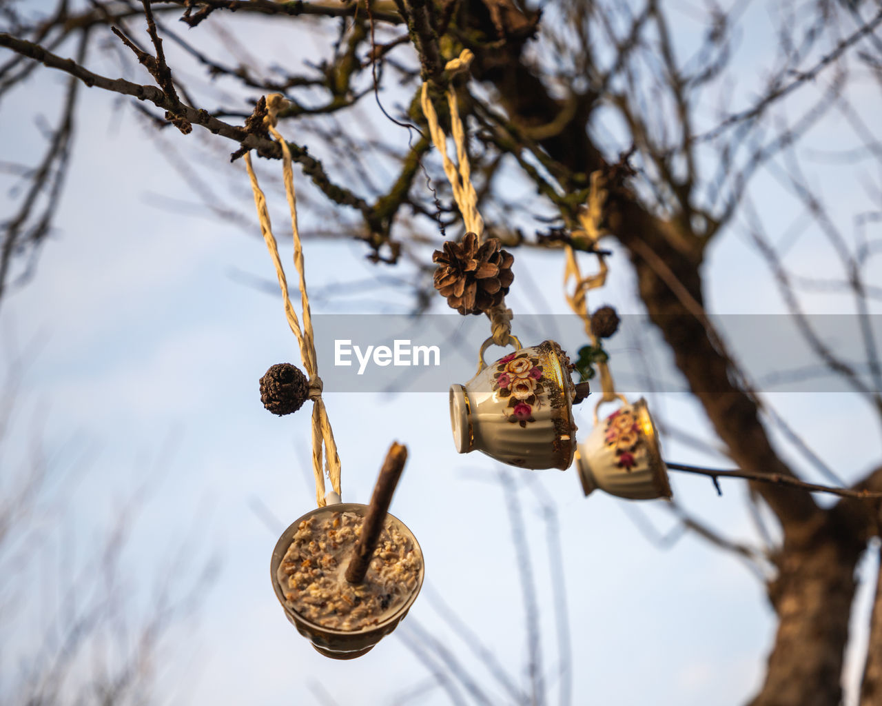 LOW ANGLE VIEW OF DECORATION HANGING ON TREE