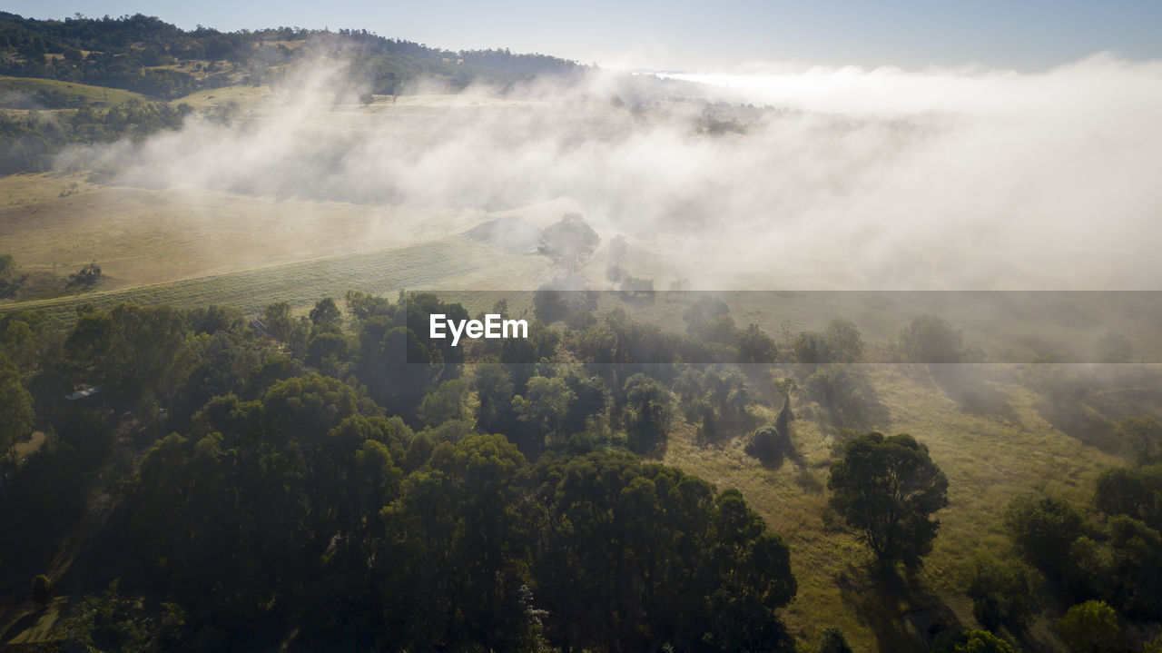 Scenic view of trees on landscape against sky