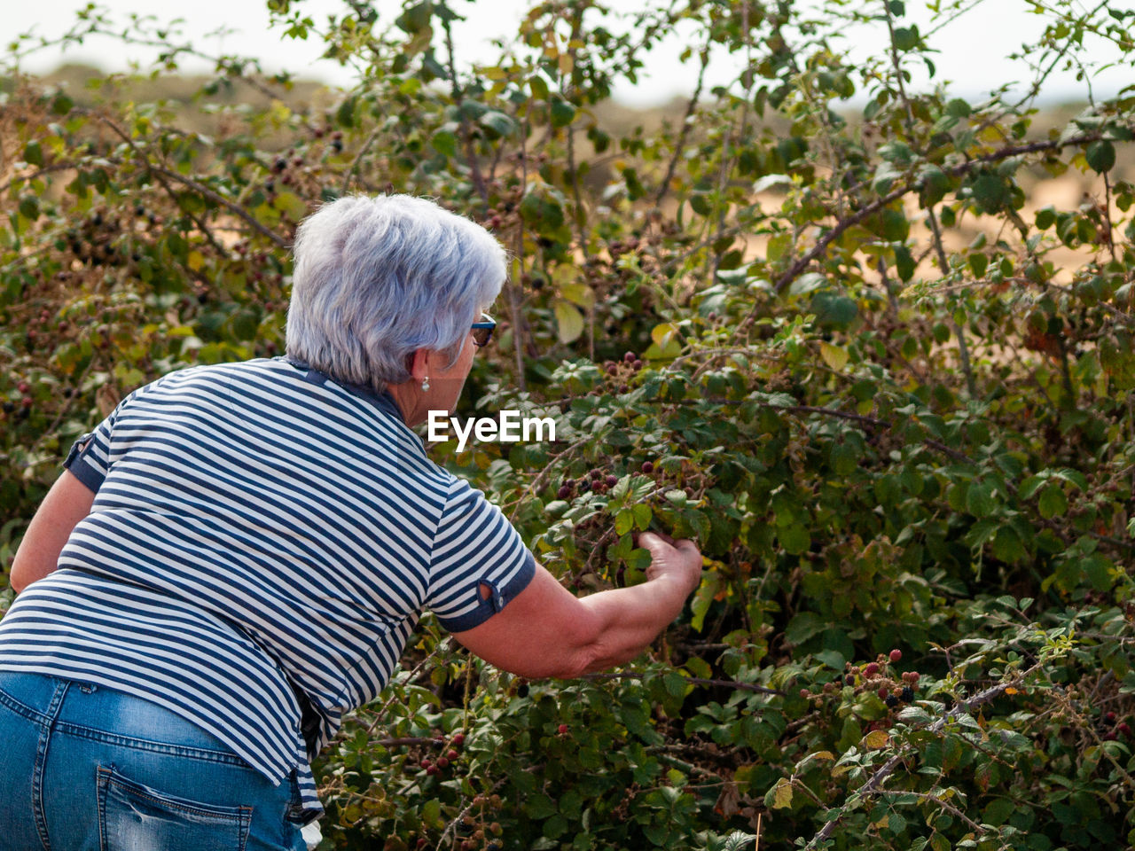 Senior woman gardening on field