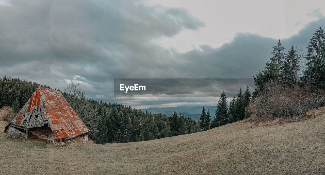 PANORAMIC SHOT OF BUILDING AND TREES AGAINST SKY