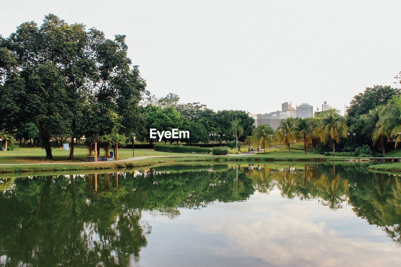 Reflection of trees in park in pond with city in the background