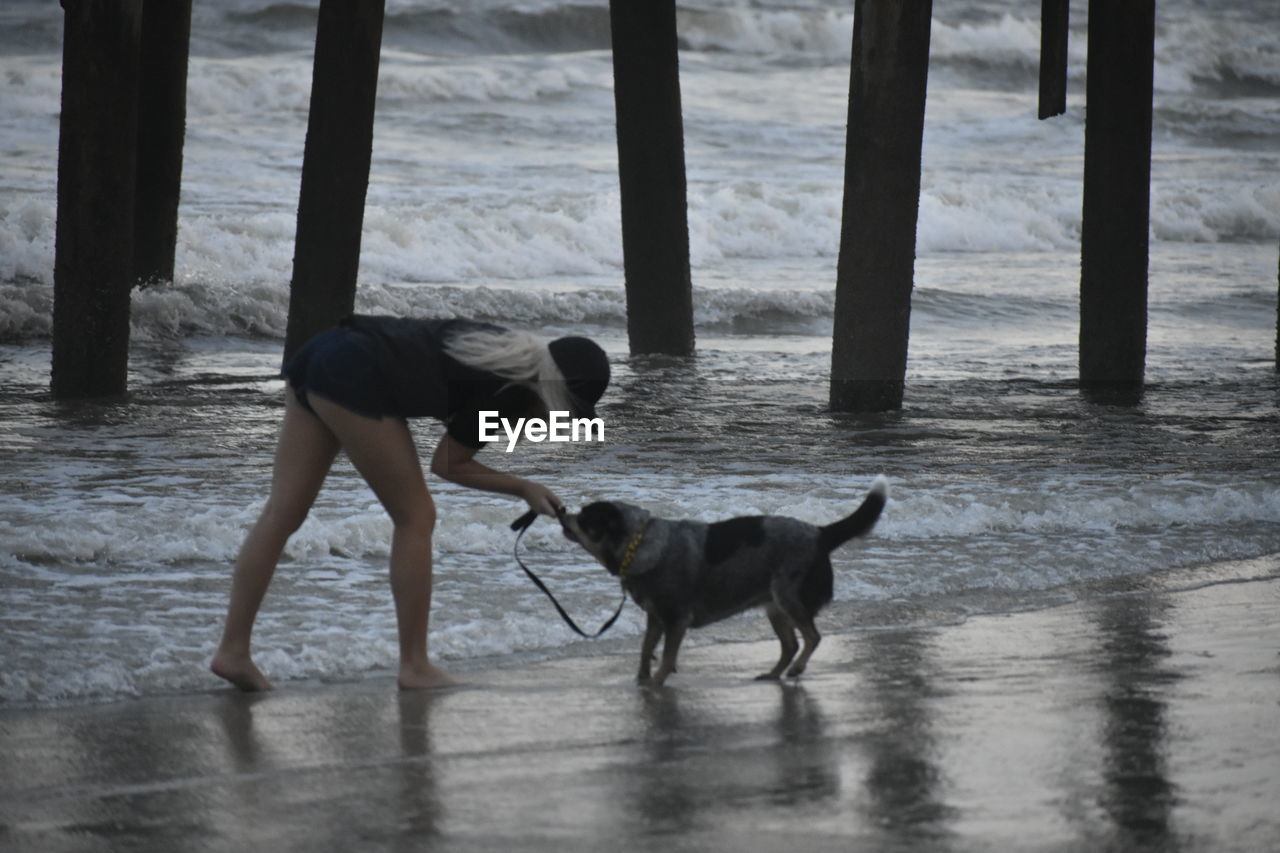 DOG PLAYING ON BEACH AGAINST SEA