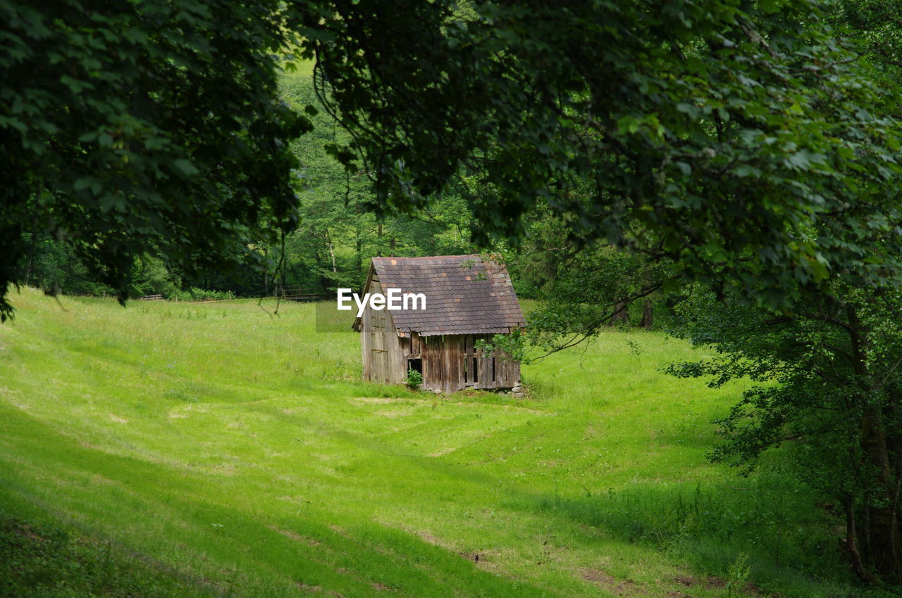 WOODEN HUT ON LANDSCAPE