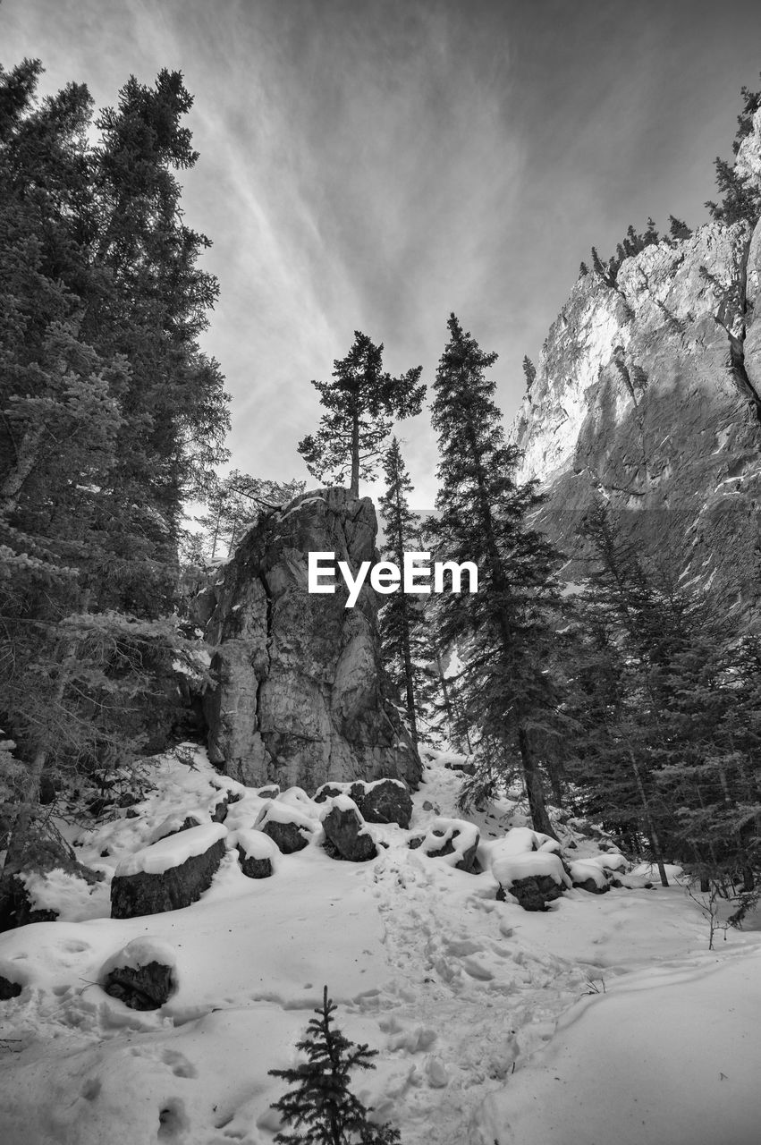 Scenic view of snow covered mountains against sky