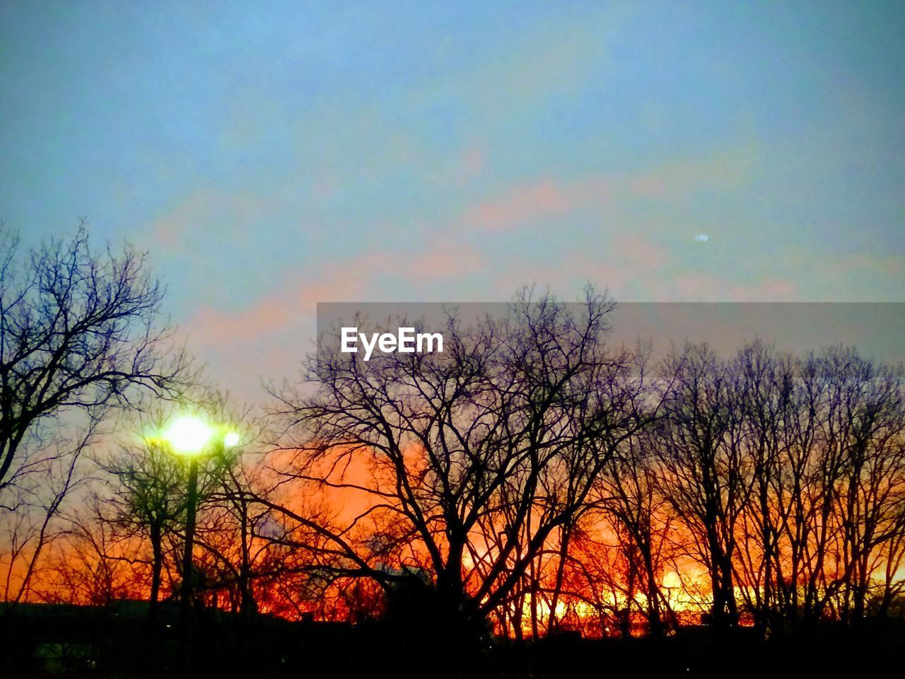 SILHOUETTE BARE TREES AGAINST SKY DURING SUNSET