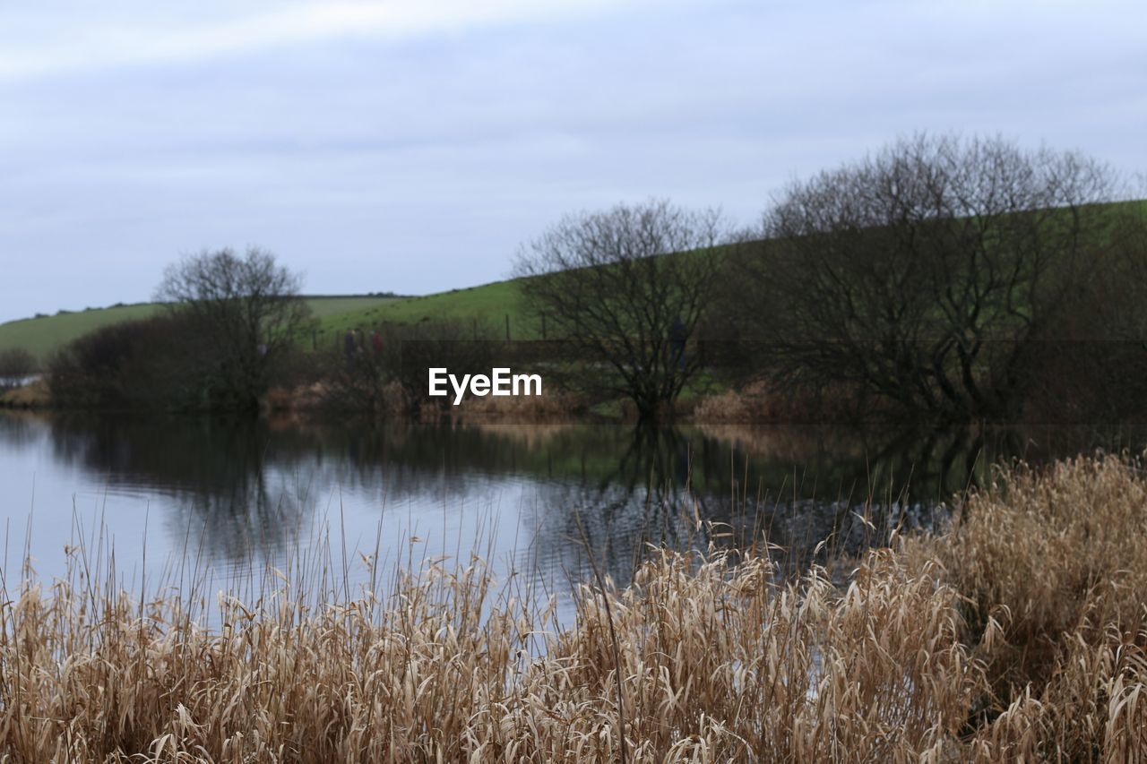 SCENIC VIEW OF LAKE