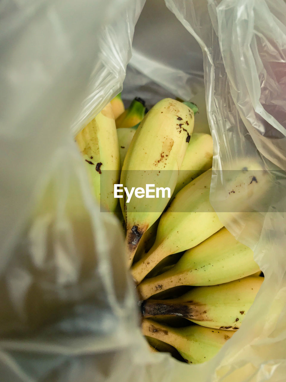 High angle view of fruits in plastic bag