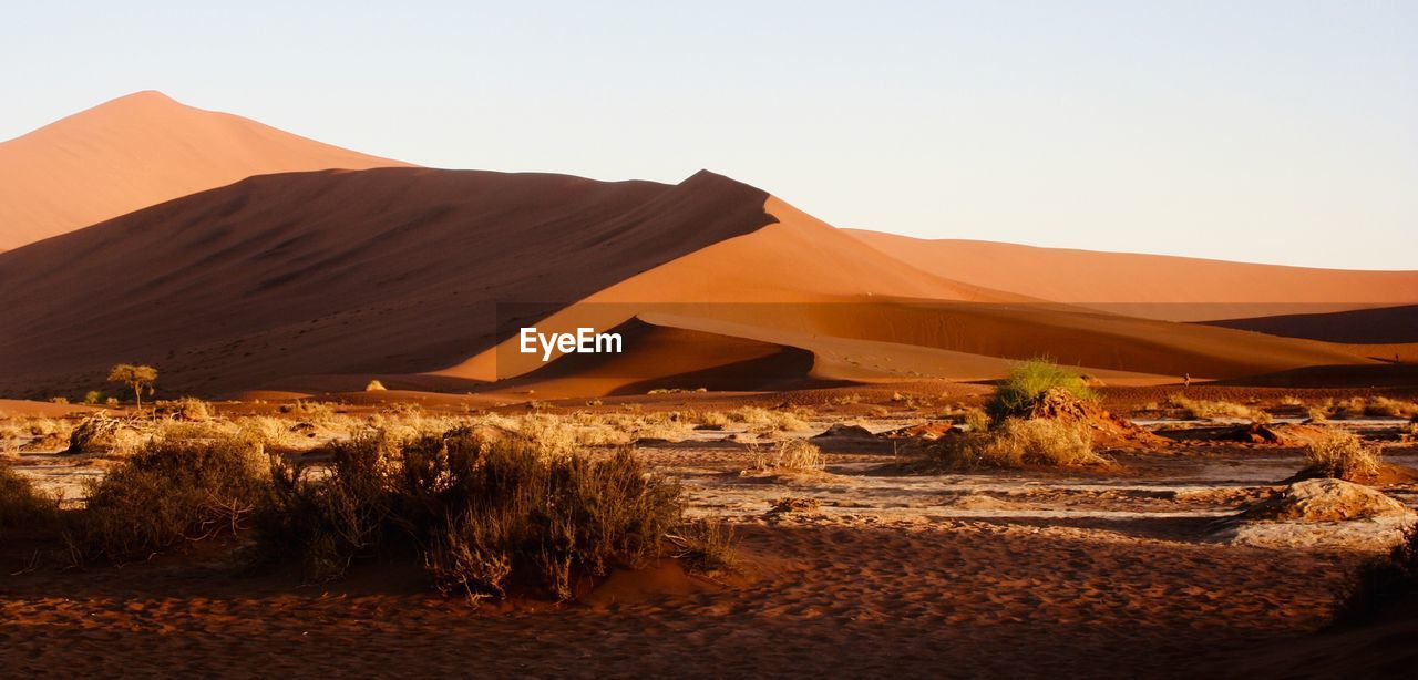 Scenic view of desert against clear sky