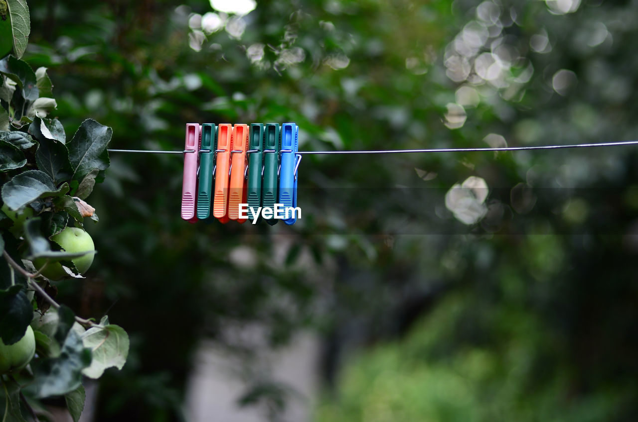 CLOSE-UP OF CLOTHESLINE HANGING ON ROPE
