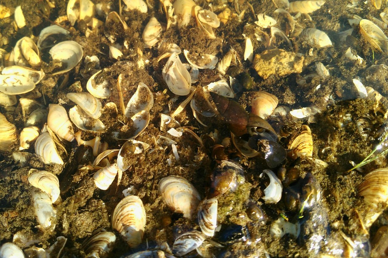 FULL FRAME SHOT OF STONES