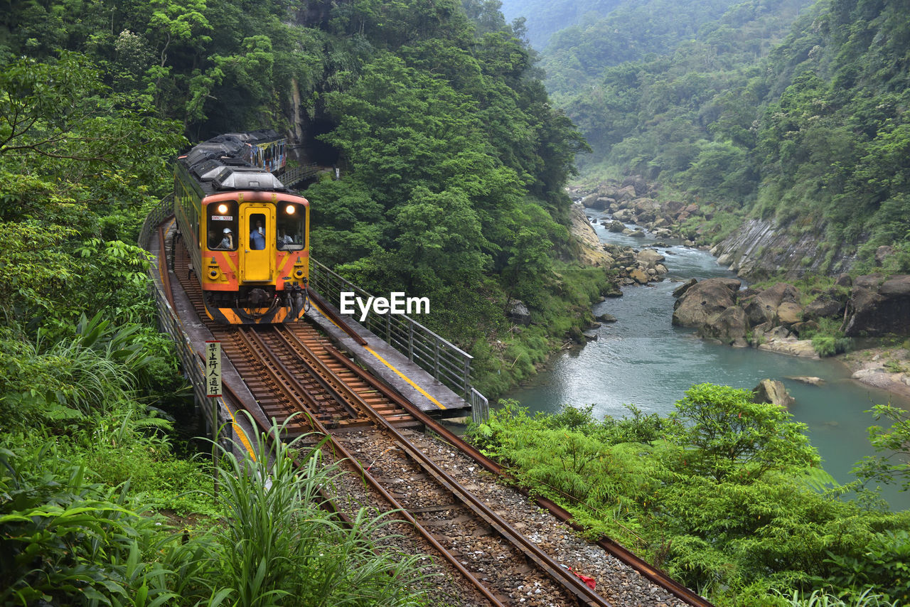 Railroad tracks by river amidst trees in forest